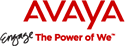 Avaya Government Solutions Logo