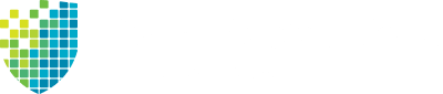 Dynamic Solutions International Logo